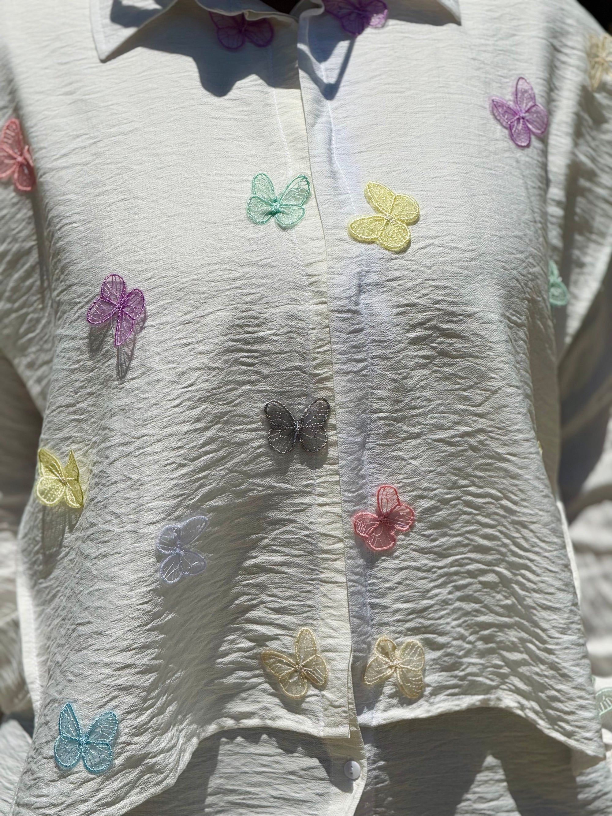 BUTTERFLY